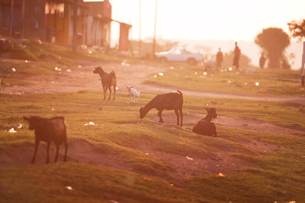 UGANDA_MORNING02